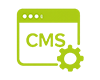 CMS Development