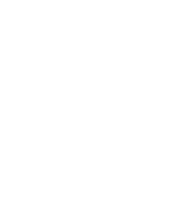 Custom CMS Solutions